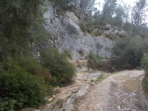 DSCN6776 (Medium)     